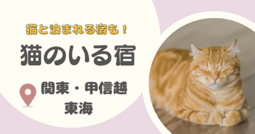 【関東・甲信越・東海】猫のいる宿22選｜看板猫がいる温泉宿・ホテル・猫と泊まれる宿も！