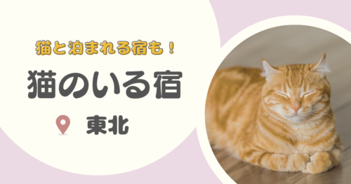【東北の猫宿大集合！】猫のいる宿15選｜可愛い看板猫と触れ合える！
