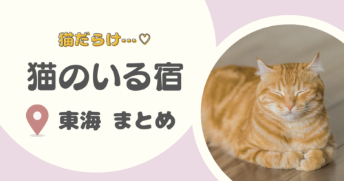 【東海】猫のいる宿16選｜静岡・三重・岐阜・愛知の可愛い看板猫と触れ合える！