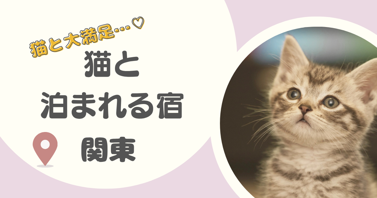 関東で猫と泊まれる宿・コテージ12選|安い宿から高級宿まで、愛猫と一緒に泊まれるホテル