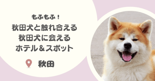 【もふもふ】秋田犬と触れ合えるホテルや秋田犬に会えるスポット大特集