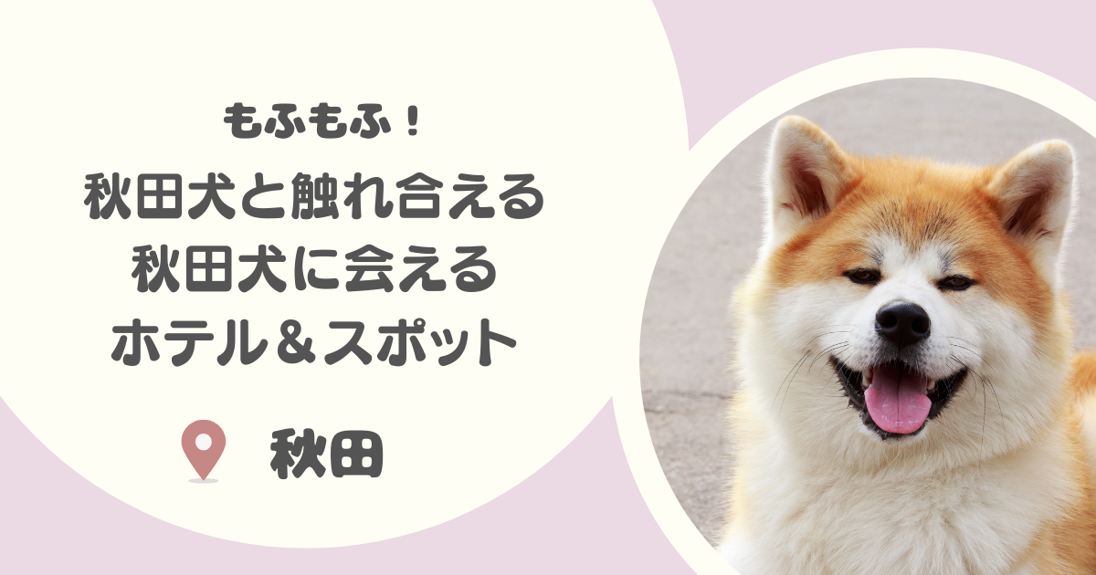 【もふもふ】秋田犬と触れ合えるホテルや秋田犬に会えるスポット大特集