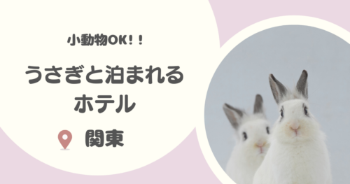 【関東】うさぎと泊まれる宿6選｜うさぎを含む小動物が宿泊OKの宿を厳選！
