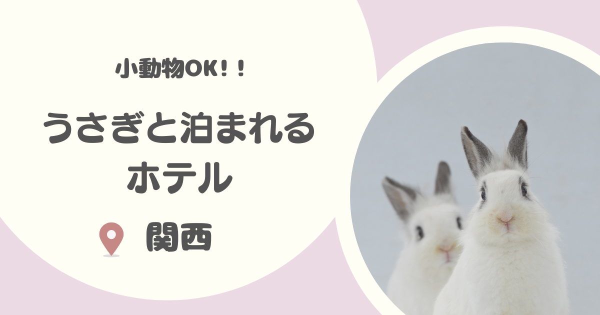 【関西】うさぎと泊まれる宿6選｜猫やうさぎを含む小動物が泊まれる宿を厳選！
