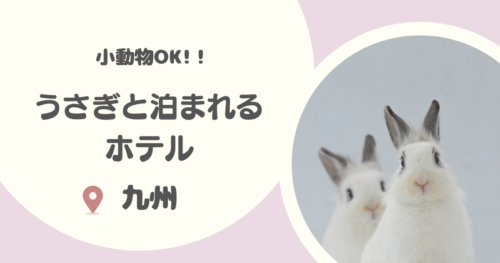 【九州】うさぎと泊まれる宿6選｜うさぎや猫などの小動物も宿泊OKな宿を厳選！