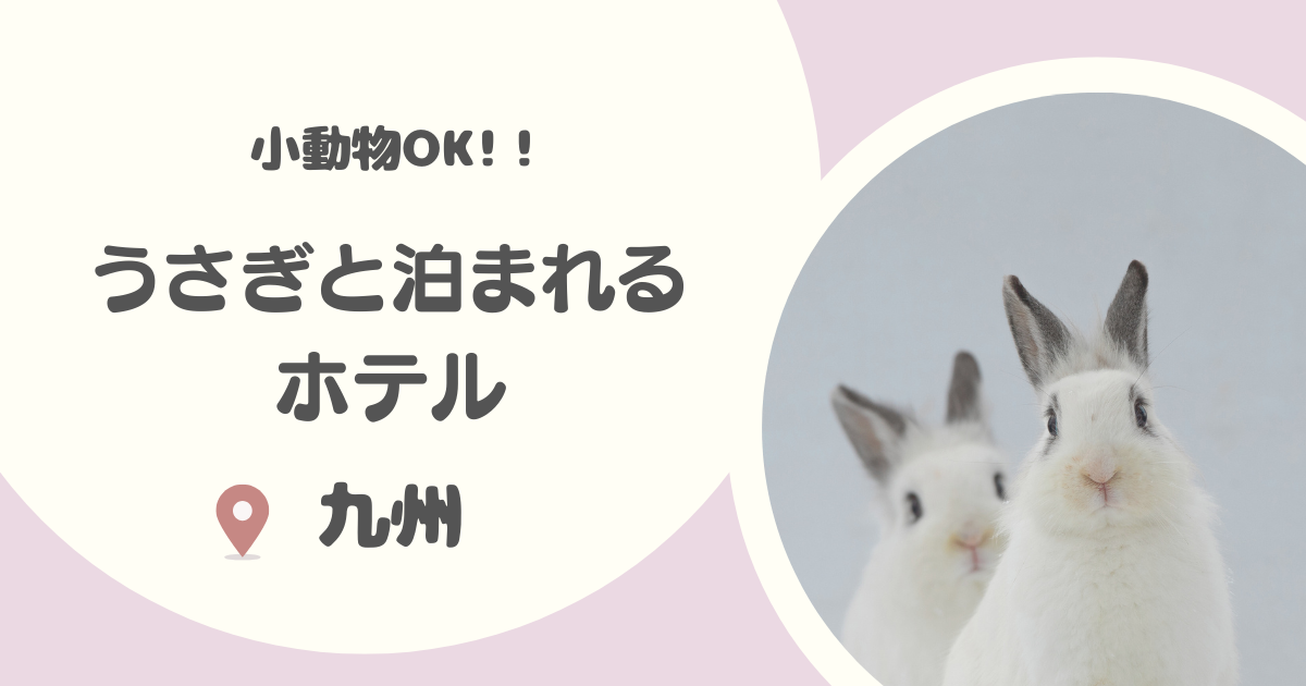 【九州】うさぎと泊まれる宿6選｜うさぎや猫などの小動物も宿泊OKな宿を厳選！
