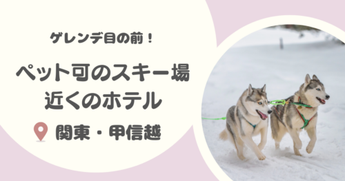 【ゲレンデが目の前】ペット可の関東のスキー場近くのホテル8選｜大型犬が宿泊可能な宿も！