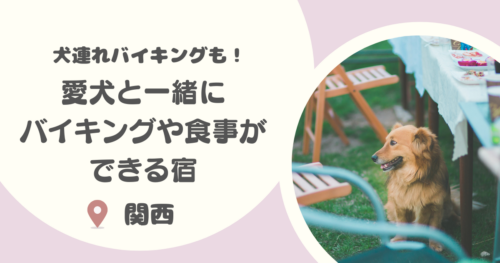 【犬連れバイキングも】関西で犬と泊まれる宿特集！愛犬と一緒にバイキングや食事が楽しめる宿8選