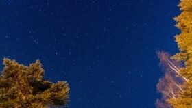 リゾート イン ボンシックから見える星空