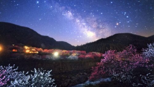 湯元ホテル 阿智川から見える星空