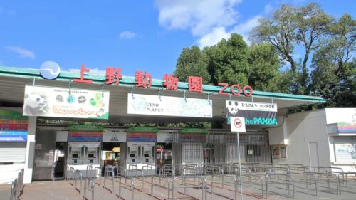 ホテルクラウンヒルズ上野プレミア近くの上野動物園