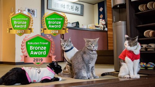 囲炉裏のある宿「草津温泉中村屋旅館」の看板猫ちゃん