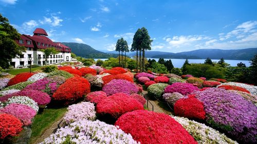 小田急 山のホテル(広大な庭園の花に癒されるホテル!)の庭園